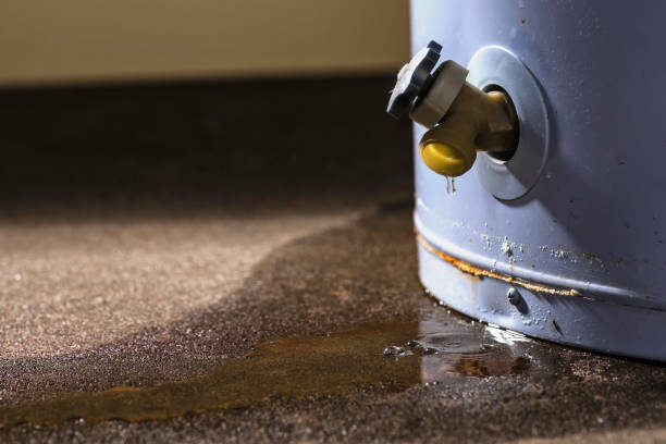 Best Ceiling water damage repair  in Linglestown, PA