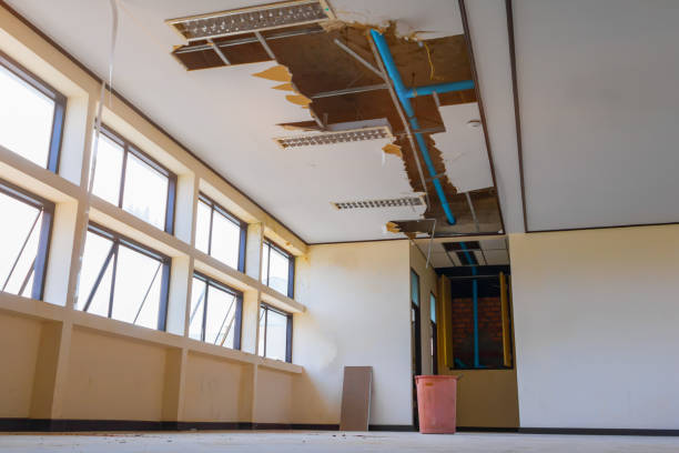 Best Water damage restoration insurance claims  in Linglestown, PA