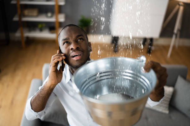 Best 24-hour water damage restoration  in Linglestown, PA
