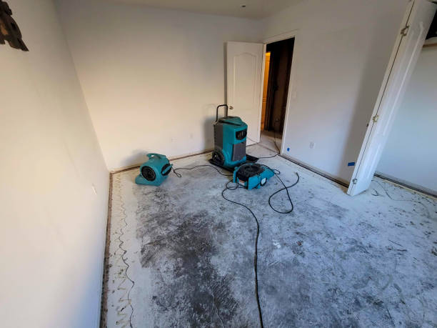 Best Water damage cleanup near me  in Linglestown, PA