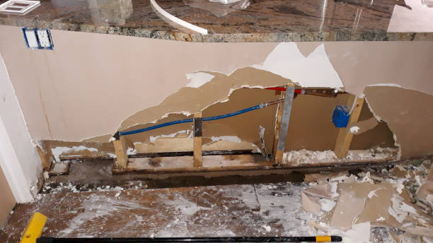 Best Mold removal after water damage  in Linglestown, PA