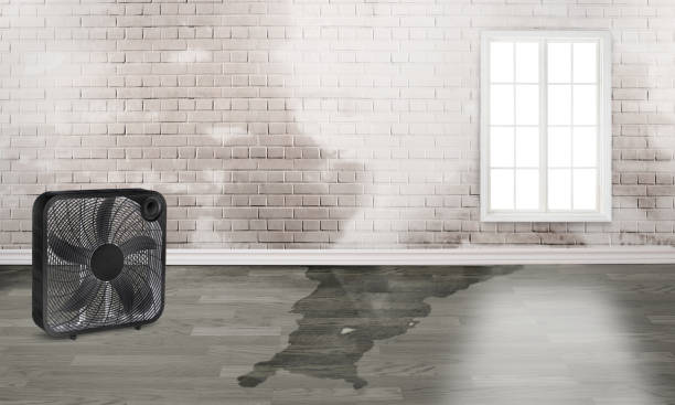 Best Water damage restoration cost  in Linglestown, PA