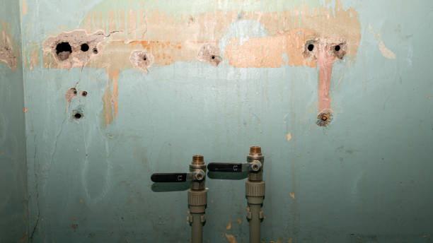 Best Emergency water damage restoration  in Linglestown, PA