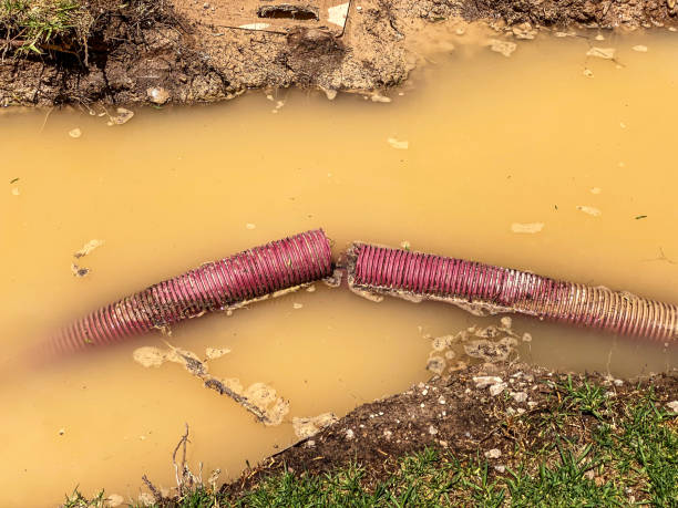 Best Emergency water extraction  in Linglestown, PA