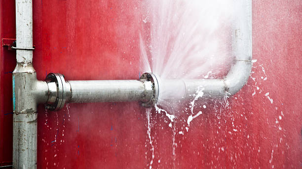 Best Carpet water damage restoration  in Linglestown, PA